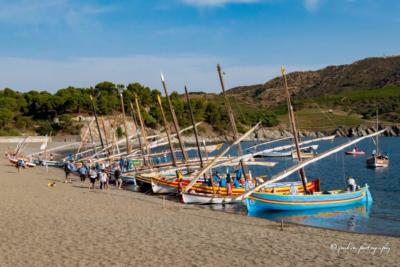 Rassemblement barques catalanes  baie de Paulilles